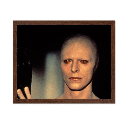The Man Who Fell To Earth 1976 David Bowie No3