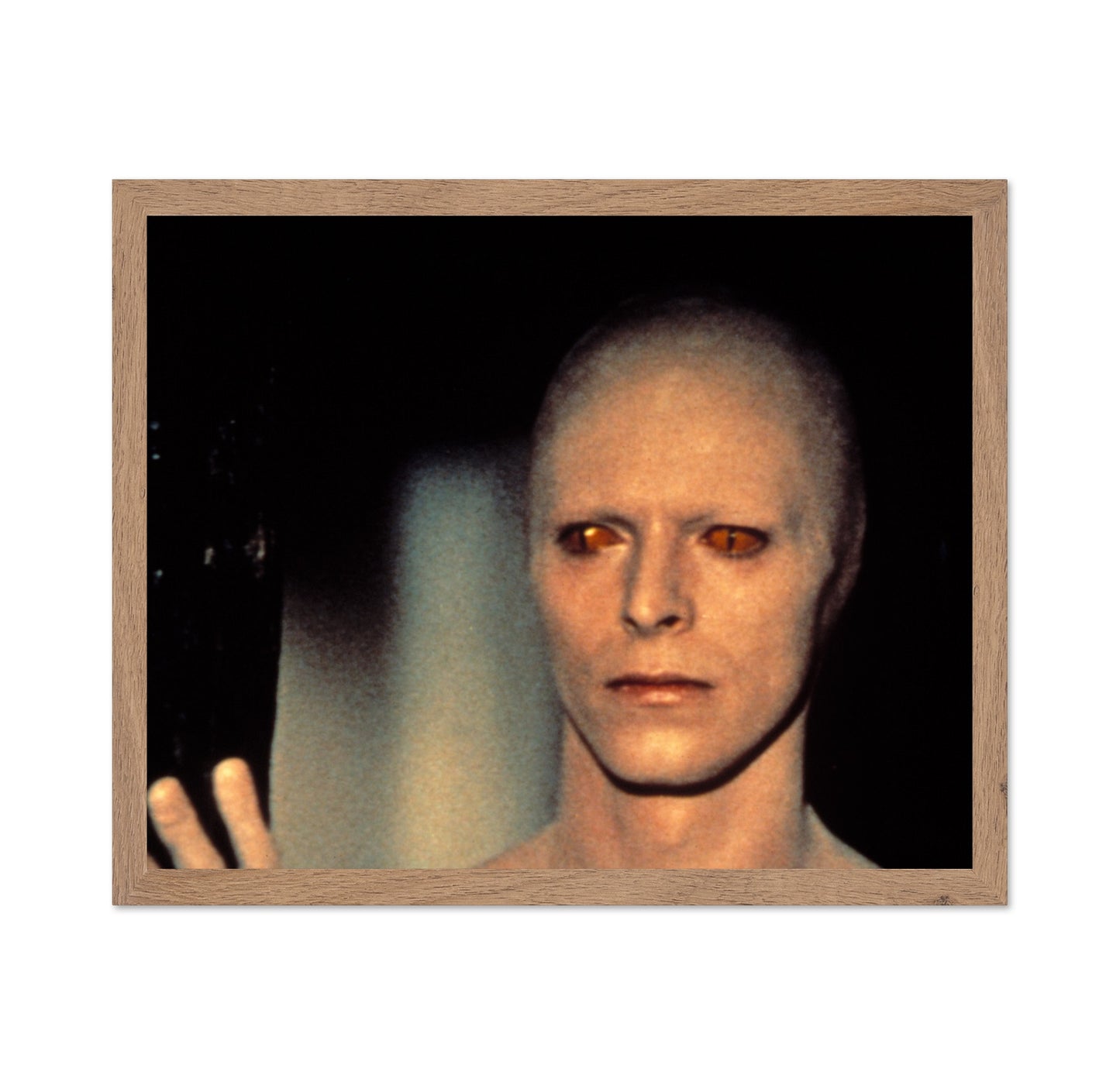 The Man Who Fell To Earth 1976 David Bowie No3