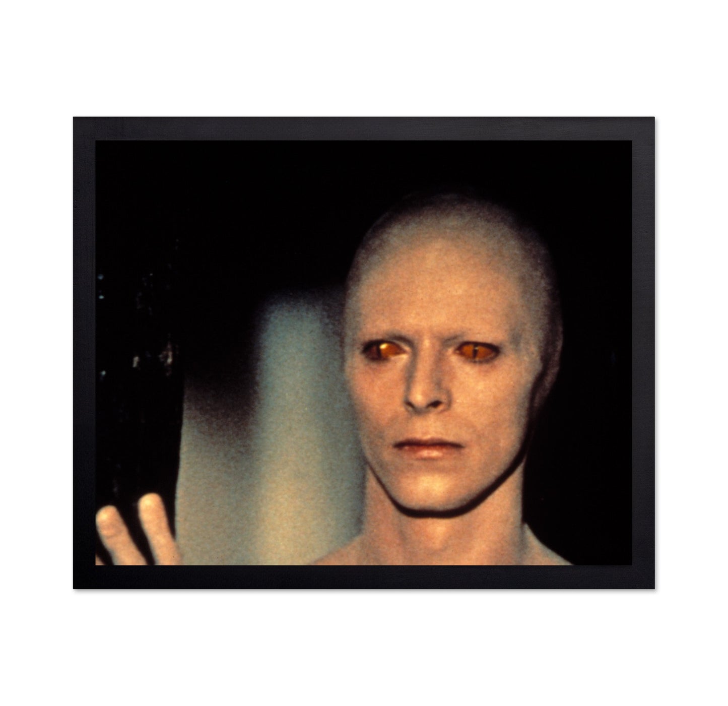 The Man Who Fell To Earth 1976 David Bowie No3