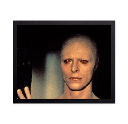 The Man Who Fell To Earth 1976 David Bowie No3