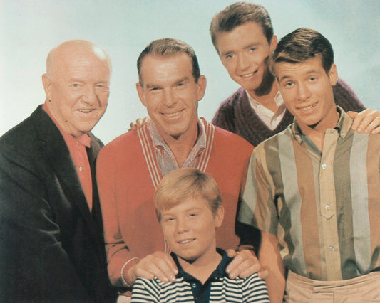 My Three Sons 1960 William Frawley No2