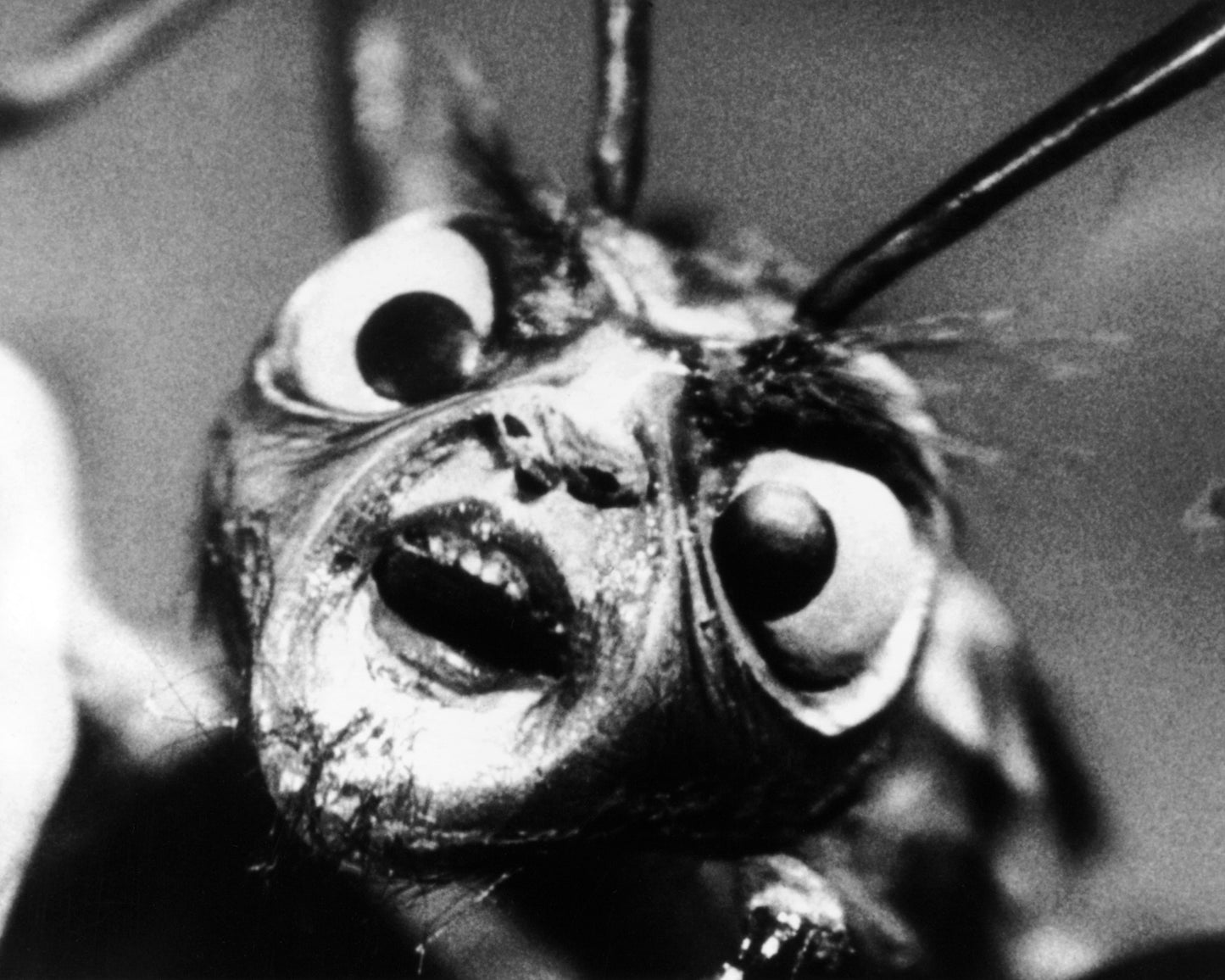 The Outer Limits 1963 No1