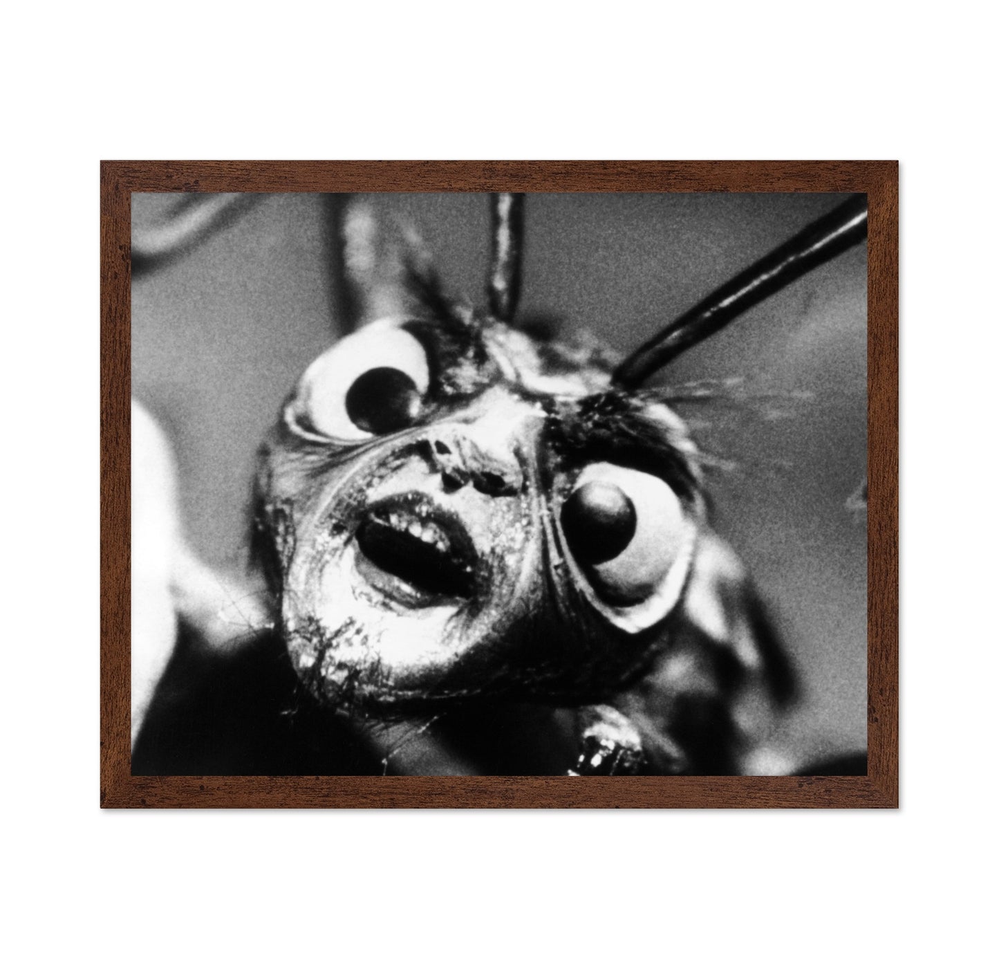 The Outer Limits 1963 No1