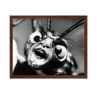The Outer Limits 1963 No1