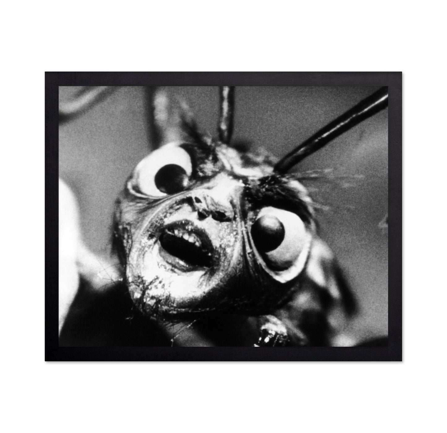 The Outer Limits 1963 No1