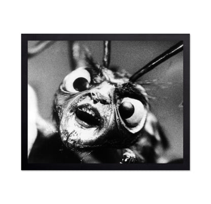 The Outer Limits 1963 No1