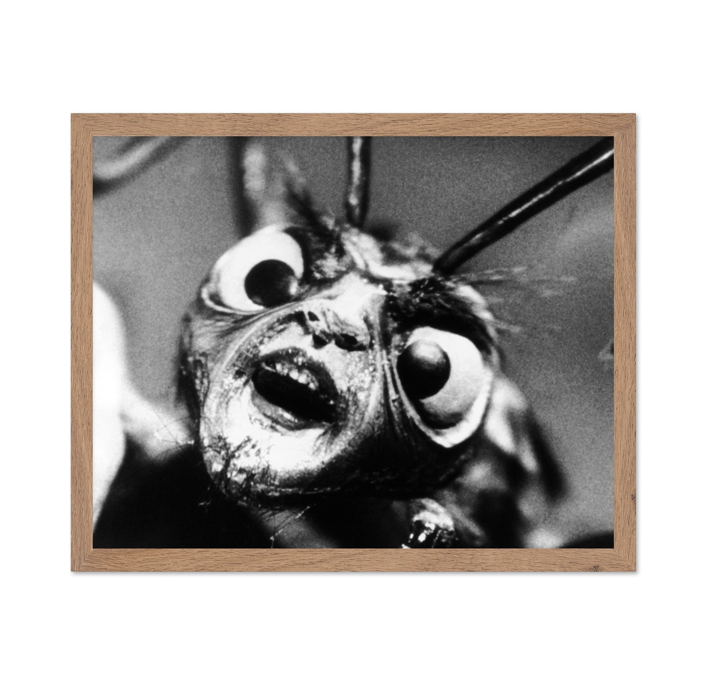 The Outer Limits 1963 No1