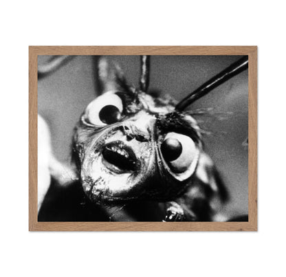The Outer Limits 1963 No1