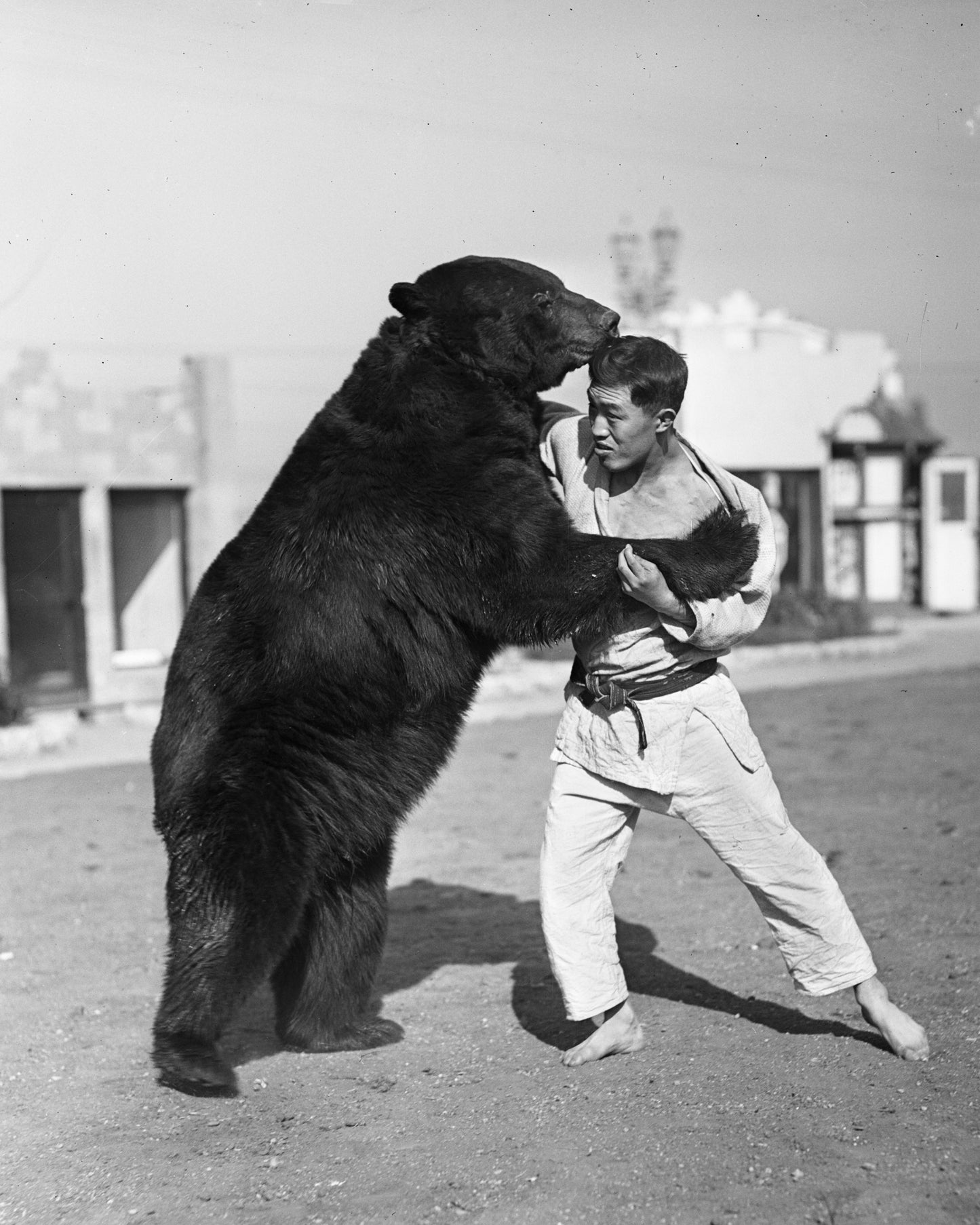 Iconic Circus Moment 1932