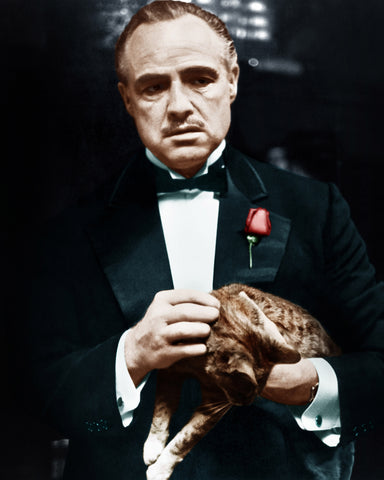 The Godfather 1972 Marlon Brando No1