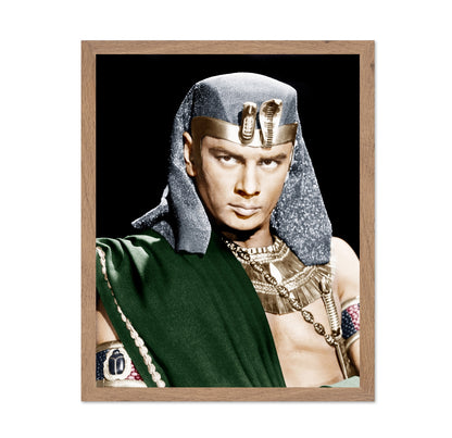 The Ten Commandments 1956 Yul Brynner No5