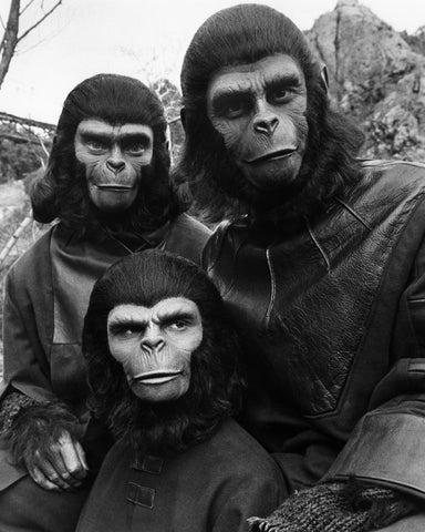 Escape From The Planet of The Apes 1971 Natalie Trundy