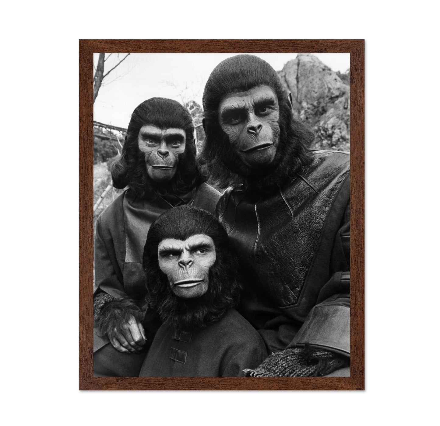 Escape From The Planet of The Apes 1971 Natalie Trundy