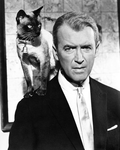 Bell, Book and Candle 1958 James Stewart No4