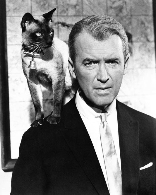 Bell, Book and Candle 1958 James Stewart No4