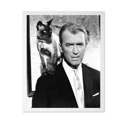 Bell, Book and Candle 1958 James Stewart No4