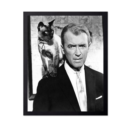 Bell, Book and Candle 1958 James Stewart No4