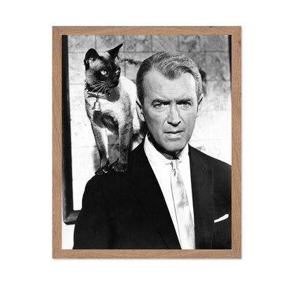 Bell, Book and Candle 1958 James Stewart No4