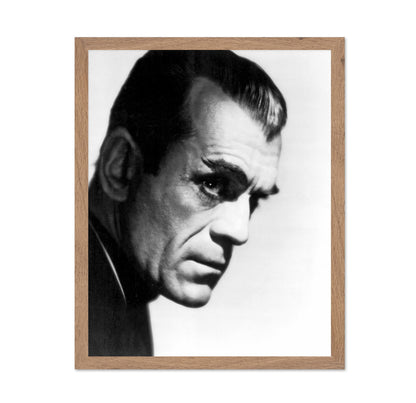 The Black Cat 1934 Boris Karloff No2