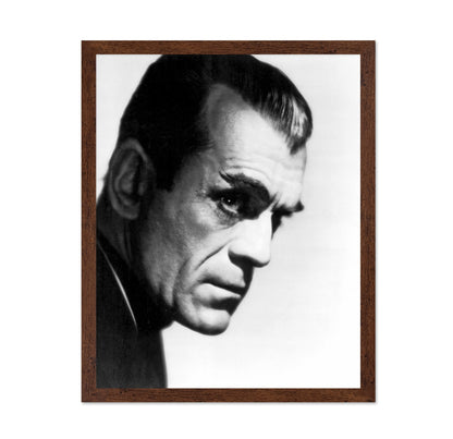 The Black Cat 1934 Boris Karloff No2