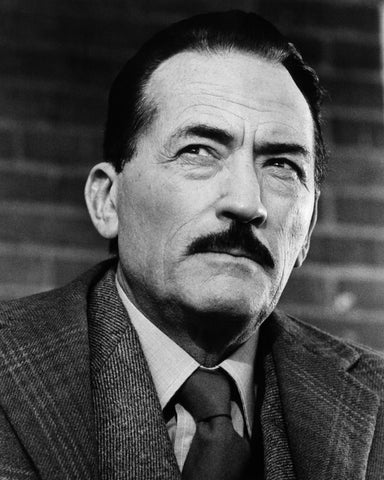 The Boys From Brazil 1978 Gregory Peck No2