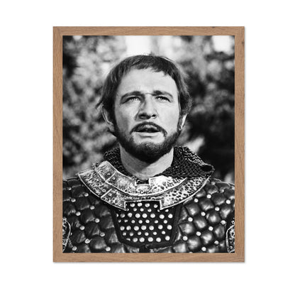 Camelot 1967 Richard Harris No3