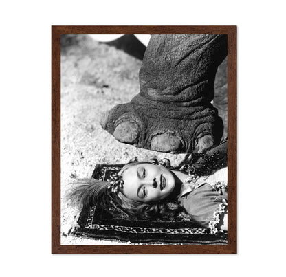 The Greatest Show On Earth 1952 Gloria Grahame
