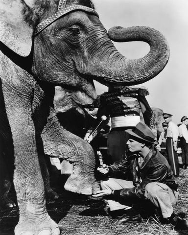 The Greatest Show On Earth 1952 Charlton Heston