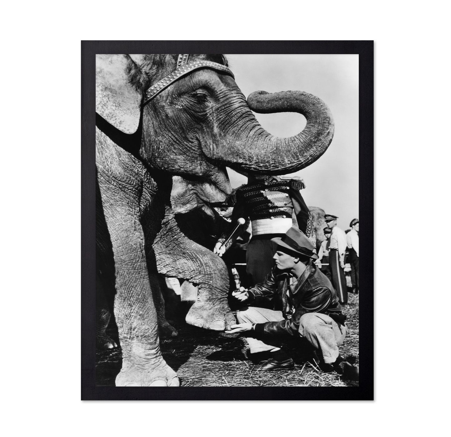 The Greatest Show On Earth 1952 Charlton Heston