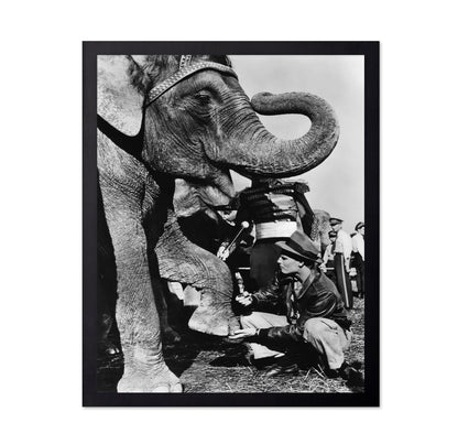 The Greatest Show On Earth 1952 Charlton Heston