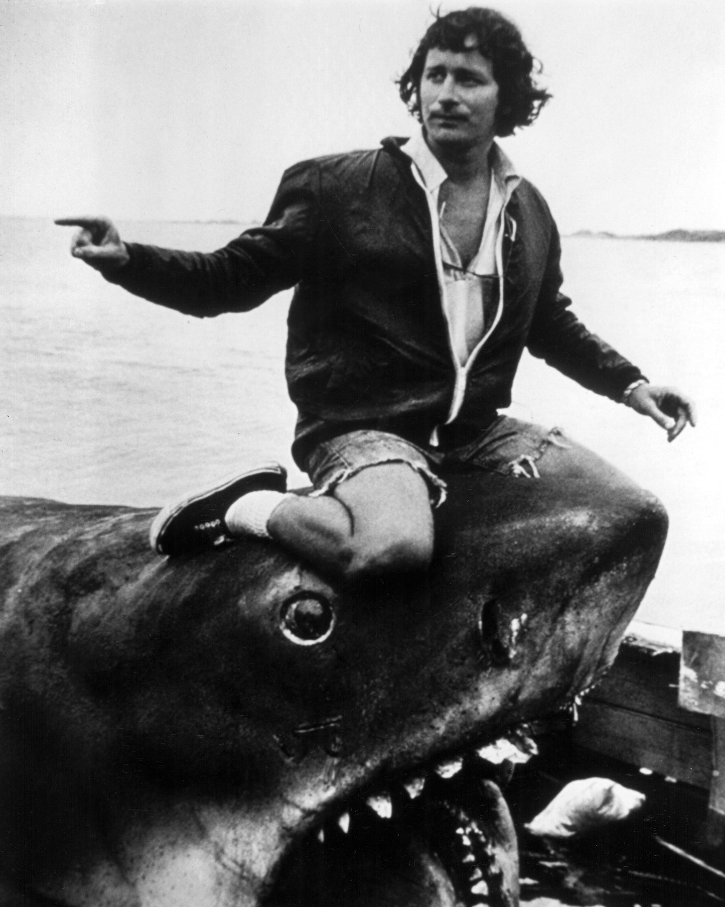 Jaws 1975 Steven Spielberg No5