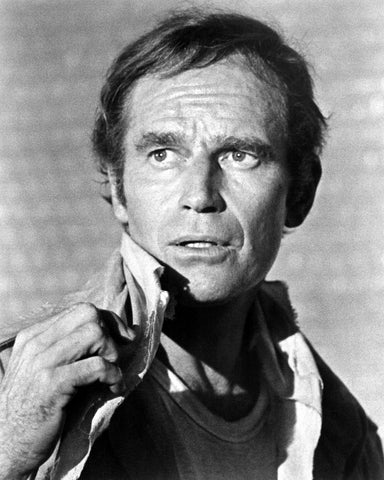 Soylent Green 1973 Charlton Heston No3