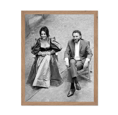 The Taming of The Shrew 1967 Elizabeth Taylor No1