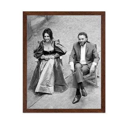 The Taming of The Shrew 1967 Elizabeth Taylor No1