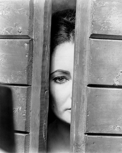 The Taming of The Shrew 1967 Elizabeth Taylor No2