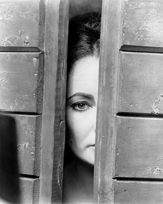 The Taming of The Shrew 1967 Elizabeth Taylor No2
