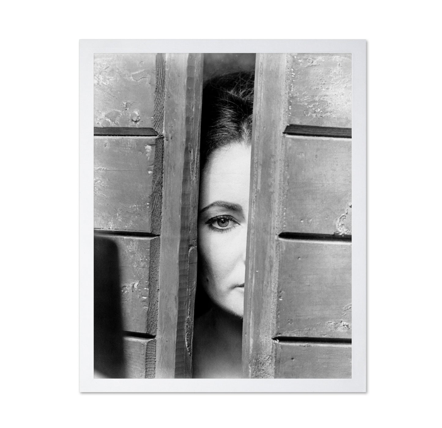 The Taming of The Shrew 1967 Elizabeth Taylor No2