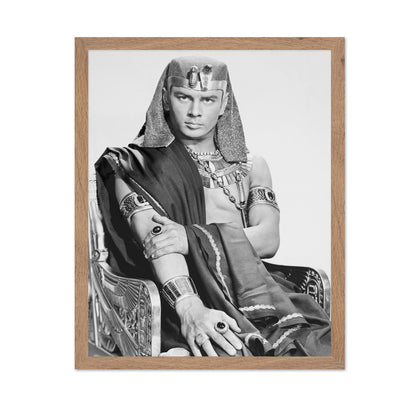 The Ten Commandments 1956 Yul Brynner No8