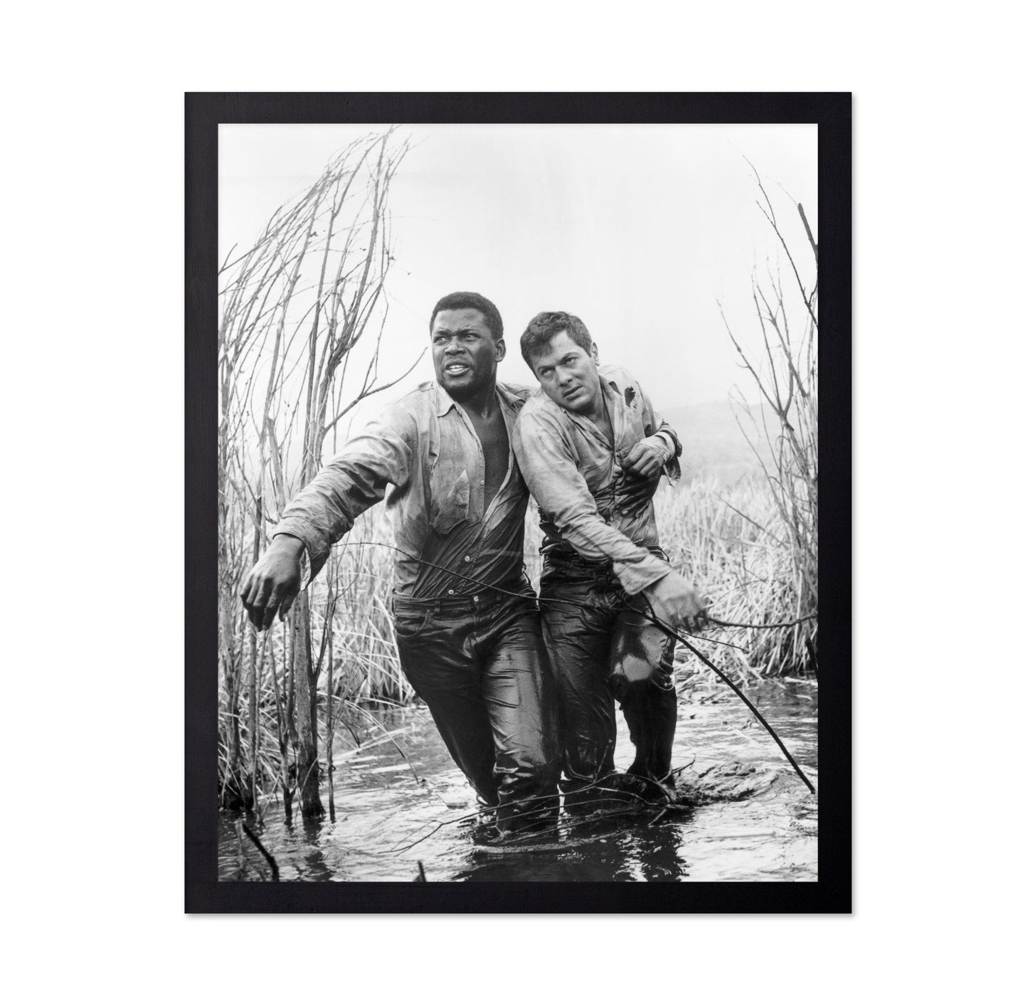 The Defiant Ones 1958 Sidney Poitier