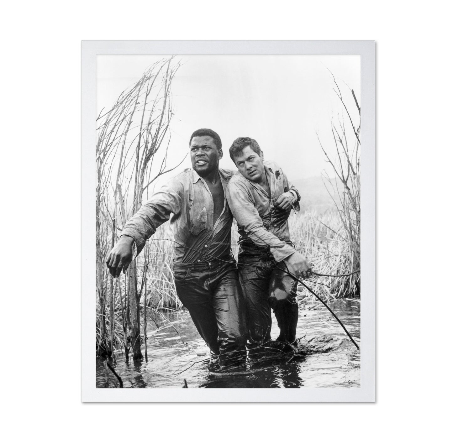 The Defiant Ones 1958 Sidney Poitier