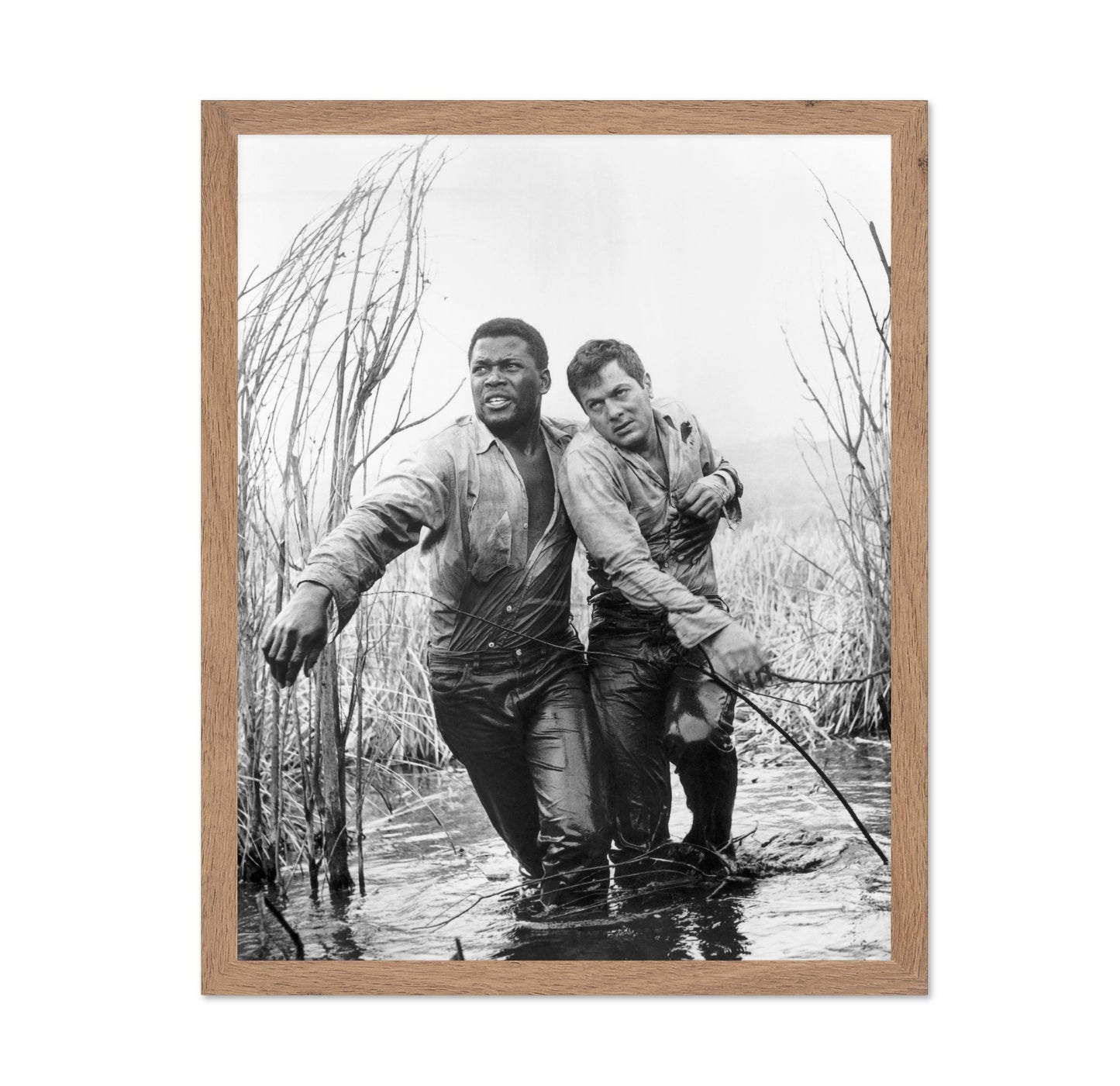 The Defiant Ones 1958 Sidney Poitier