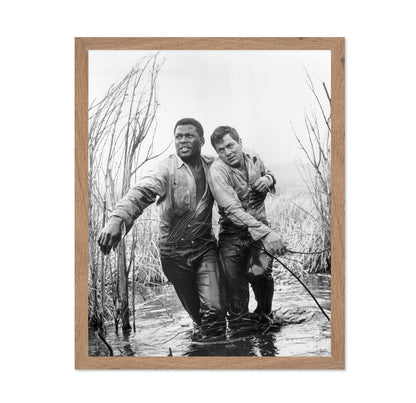 The Defiant Ones 1958 Sidney Poitier