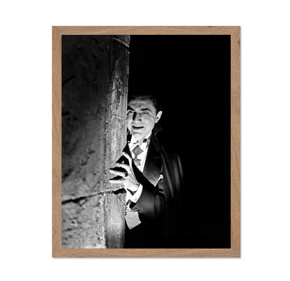 Dracula 1931 Bela Lugosi No4