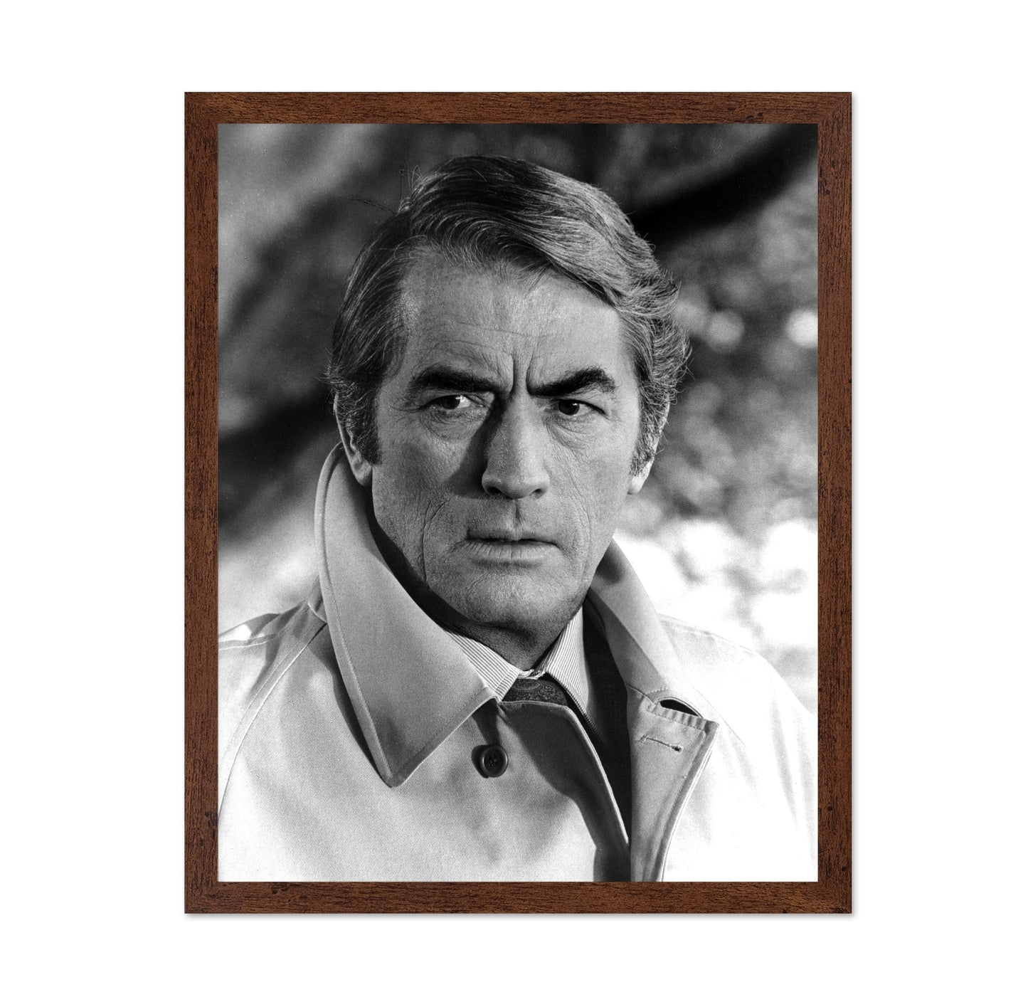 The Omen 1976 Gregory Peck No2