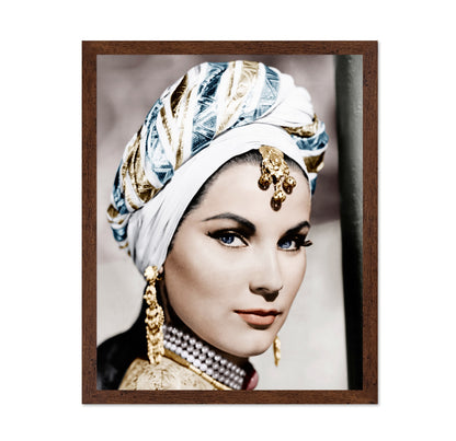 The Loves of Omar Khayyam 1957 Debra Paget No1