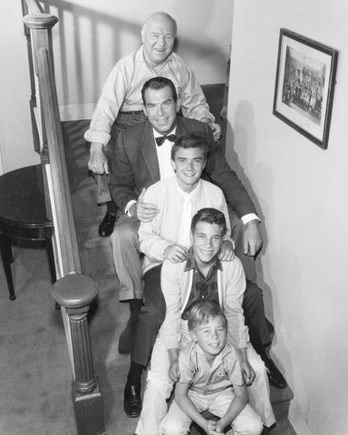 My Three Sons 1960 Fred MacMurray No2