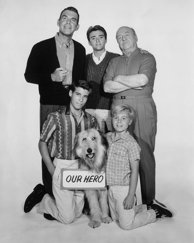 My Three Sons 1960 Fred MacMurray No1