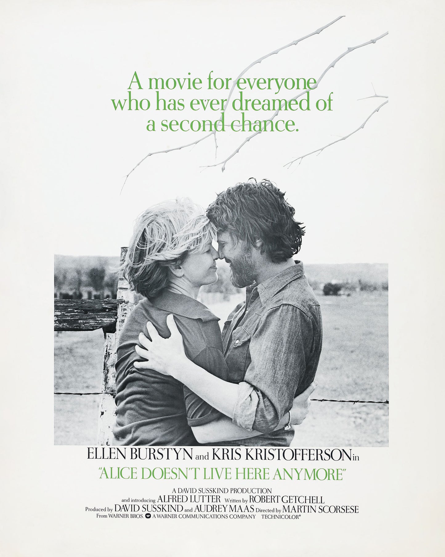 Alice Doesn't Live Here Anymore 1974