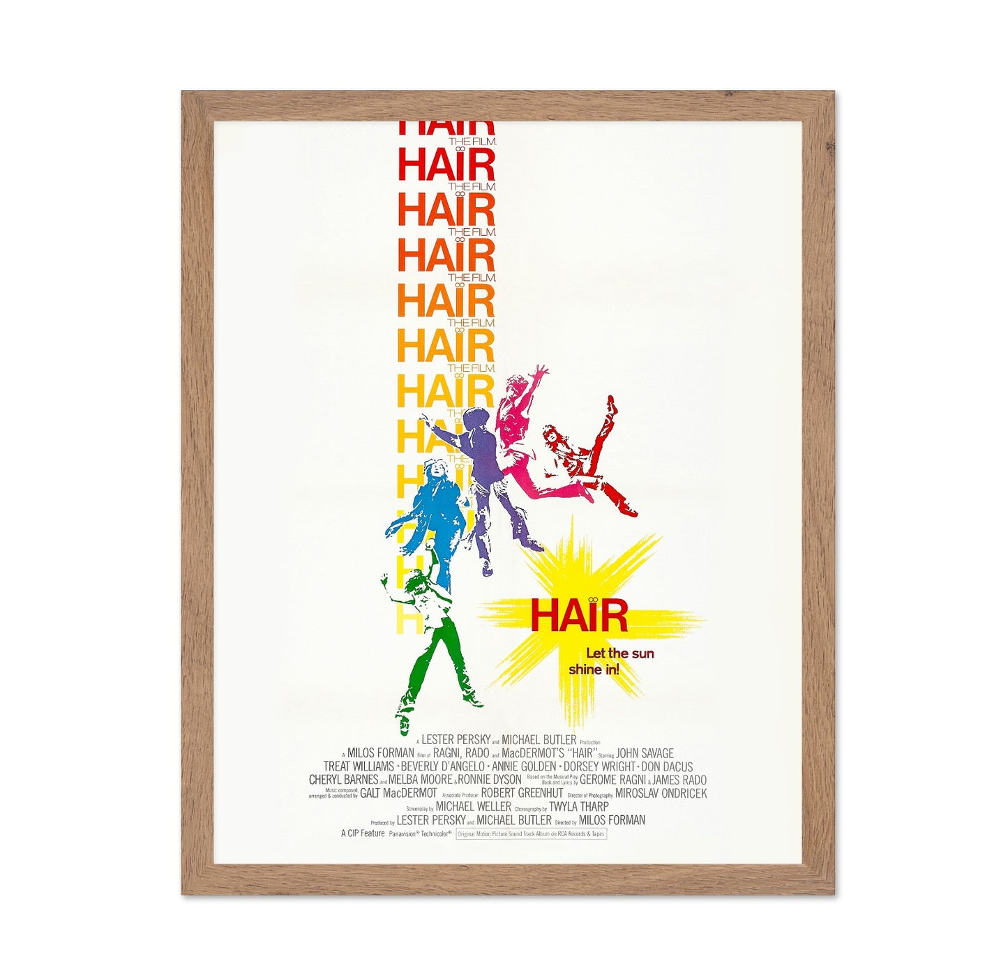 Hair 1979