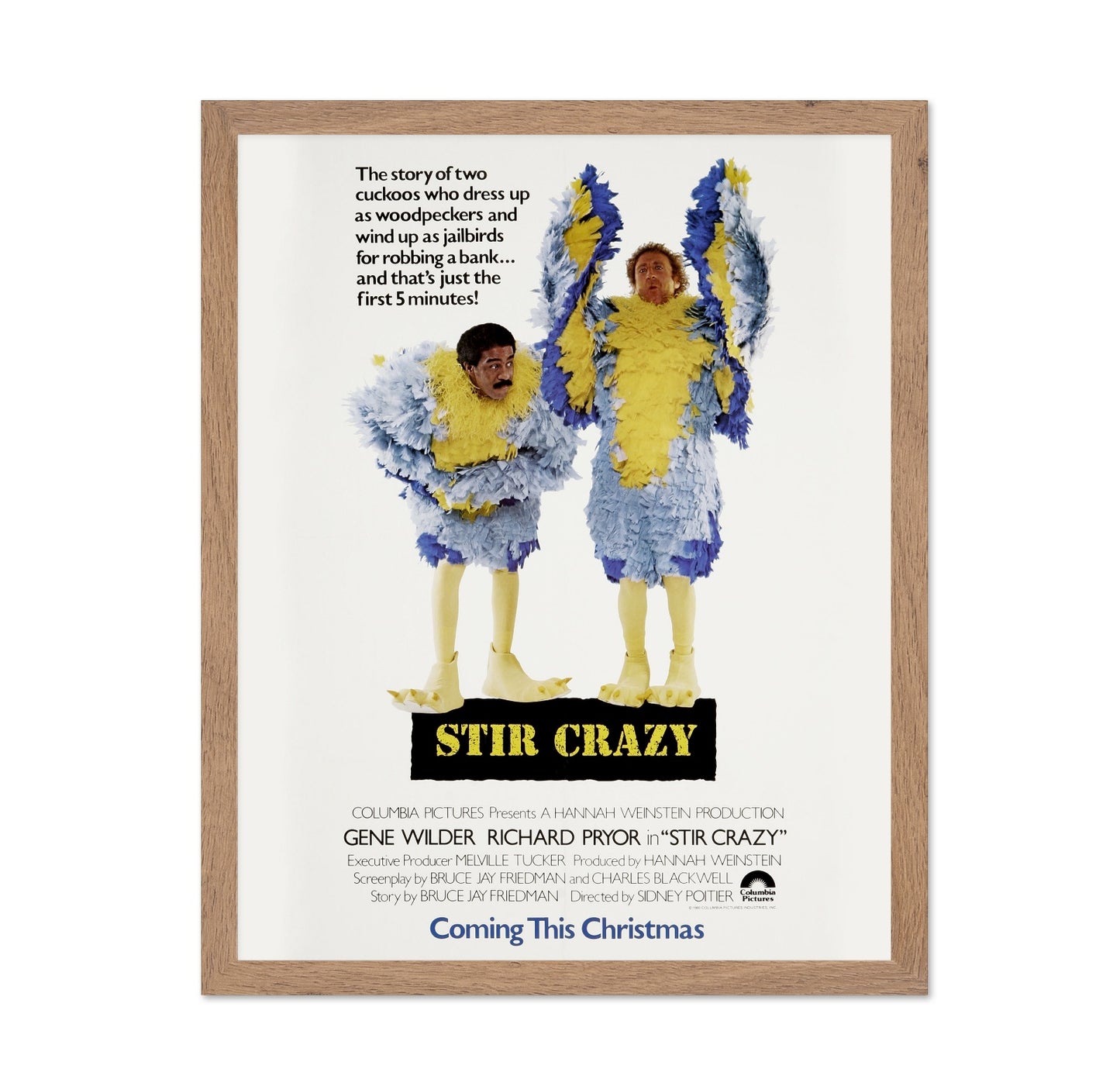 Stir Crazy 1980